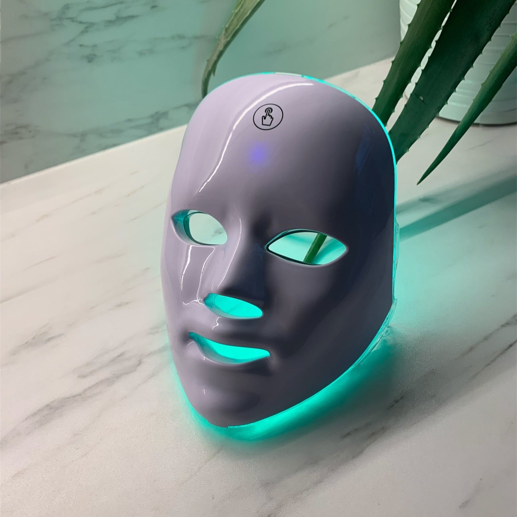 LED Face and Neck Mask